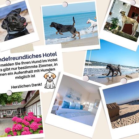 Hof Norderlueck - Das Ostseehotel Unter Reet Steinberg  Eksteriør billede