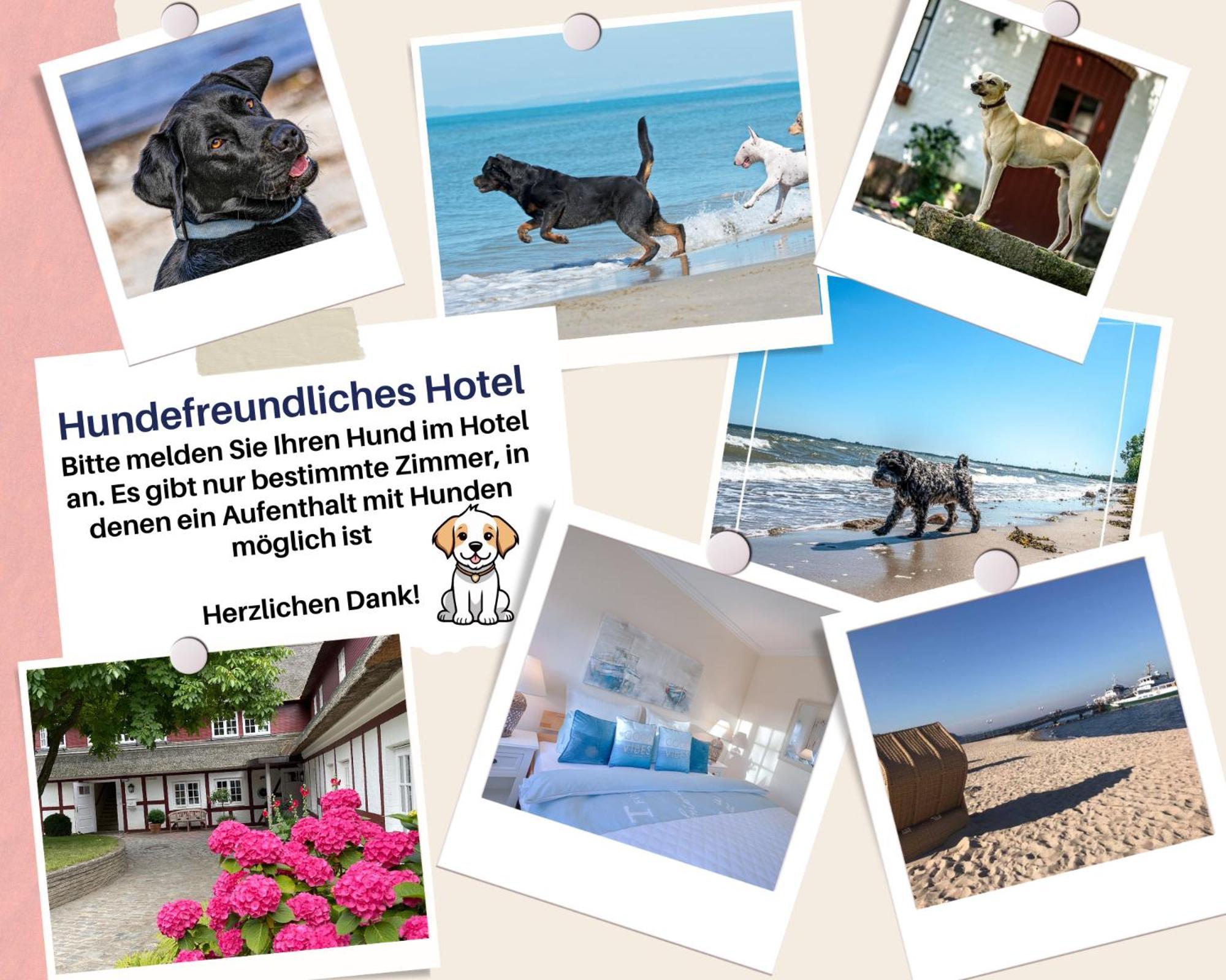 Hof Norderlueck - Das Ostseehotel Unter Reet Steinberg  Eksteriør billede